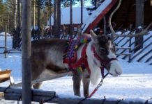 Muzeum: „Samowie – rdzenna społeczność północnej Europy”