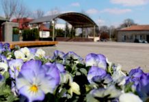 Brzesko. Kosmetyka miasta – odmalowano ławki, odnowiono kosze na śmieci