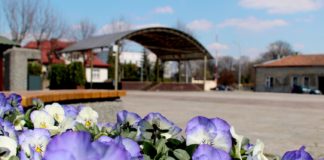 Brzesko. Kosmetyka miasta – odmalowano ławki, odnowiono kosze na śmieci