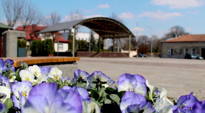 Brzesko. Kosmetyka miasta – odmalowano ławki, odnowiono kosze na śmieci