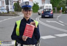 Uwaga na pasach! Od dziś pieszy ma pierwszeństwo, zakaz gapienia się w telefon