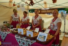 Jarmark Wiśnickie Specjały i Festiwal Kapel Weselnych – ZDJĘCIA