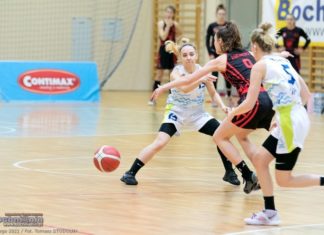 Koszykówka. Bochnia już z licencją na 1. ligę. Sponsorem tytularnym nadal Contimax SA