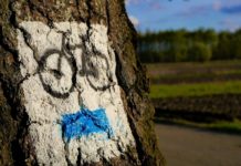 W niedzielę Rajd Rowerowy „100 km Wolności”