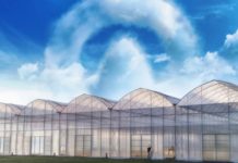 ? FARMER Tunele Foliowe – Ekspansja rynku i nowe możliwości dla lokalnego rynku pracy