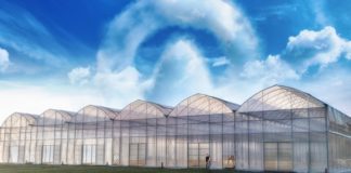 ? FARMER Tunele Foliowe – Ekspansja rynku i nowe możliwości dla lokalnego rynku pracy