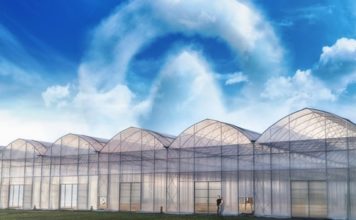 ? FARMER Tunele Foliowe – Ekspansja rynku i nowe możliwości dla lokalnego rynku pracy