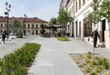 Bochnia. Będzie regulamin korzystania z Rynku: Zakaz picia z fontanny i dokarmiania gołębi