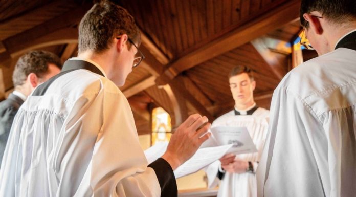 Nowi księża wikariusze w parafiach powiatu bocheńskiego i brzeskiego – LISTA