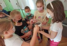 Uczniowie SP nr 1 w Bochni zebrali prawie 5 tys. zł dla małej Leyli