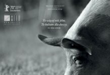 DKF: Intymne spojrzenie na świat zwierząt – „Gunda” Wiktora Kossakowskiego