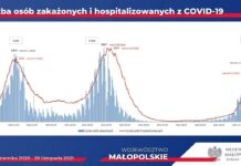 Jak IV fala epidemii rozwija się w Małopolsce? – GRAFIKI