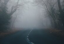 IMGW ostrzega przed gęstą mgłą