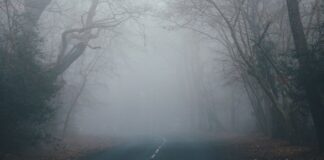 IMGW ostrzega przed gęstą mgłą