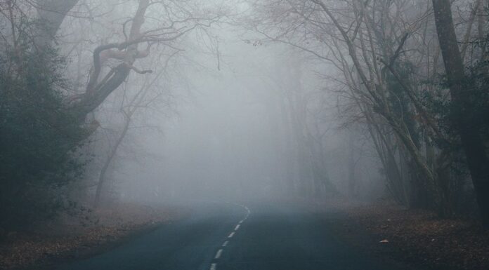 IMGW ostrzega przed gęstą mgłą