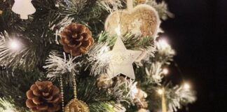 🔸 Świąteczne drzewko, które nie gubi igieł? Postaw na sztuczne choinki!