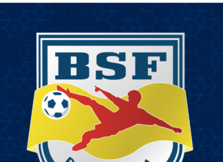 Hardwood strategicznym sponsorem BSF ABJ Bochnia