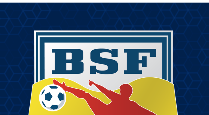 Hardwood strategicznym sponsorem BSF ABJ Bochnia