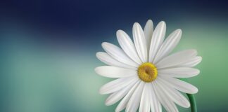 IMGW: Prognoza pogody na Wielkanoc i kolejne dni