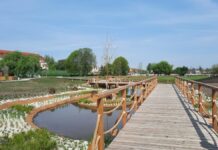 W czerwcu otwarcie nowych Niepołomickich Błoń. Zobacz jak wyglądają – ZDJĘCIA