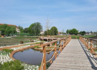 W czerwcu otwarcie nowych Niepołomickich Błoń. Zobacz jak wyglądają – ZDJĘCIA