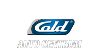 🔸 PRACA w COLD Auto-Centrum: Diagnosta Samochodowy