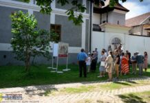 Muzealna Niedziela. Wystawy i zwiedzanie wirydarza – ZDJĘCIA