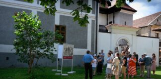 Muzealna Niedziela. Wystawy i zwiedzanie wirydarza – ZDJĘCIA