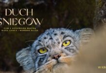 DKF: Relaksujący rytm natury – „Duch śniegów”