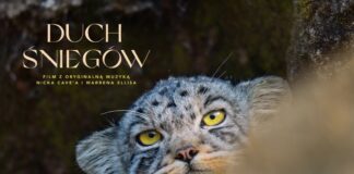 DKF: Relaksujący rytm natury – „Duch śniegów”