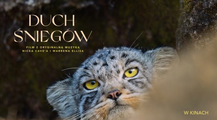 DKF: Relaksujący rytm natury – „Duch śniegów”