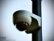 Niepołomice pilnują Błoń. Teren objęty całodobowym monitoringiem z 40 kamer