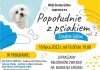 W niedzielę w Gdowie „Popołudnie z psiakiem”