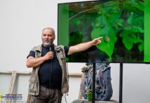 Muzeum: „Podróże do zaczarowanego lasu” – ZDJĘCIA