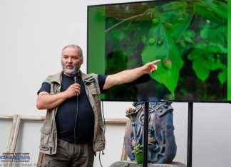 Muzeum: „Podróże do zaczarowanego lasu” – ZDJĘCIA