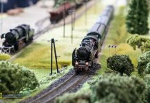 📸🎞 Makieta kolejki zajęła całą halę w Łapczycy – ZDJĘCIA, WIDEO