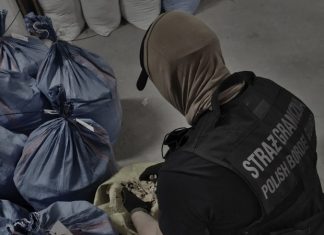 Bochnia-Niepołomice. Rozbito dwie grupy przestępcze, zarzuty dla 34 osób