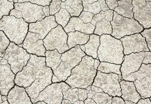 Ostrzeżenie: Susza hydrologiczna w zlewni Raby