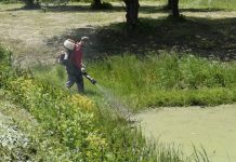 Niepołomice odkomarzają. Ruszyły kolejne opryski