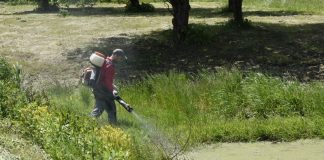 Niepołomice odkomarzają. Ruszyły kolejne opryski