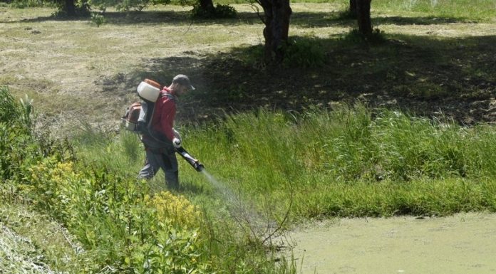 Niepołomice odkomarzają. Ruszyły kolejne opryski