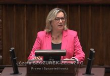 Szczurek-Żelazko w Sejmie: „Przedsiębiorcy np. branży chłodniczej alarmują, że może dojść do upadku tych firm”