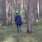 Grzybiarze. Policja apeluje o rozwagę