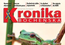 Nowa Kronika: Oko w oko z rzekotką