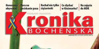 Nowa Kronika: Oko w oko z rzekotką