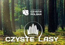 Czyste Lasy: uwalniamy Puszczę Niepołomicką… od śmieci!