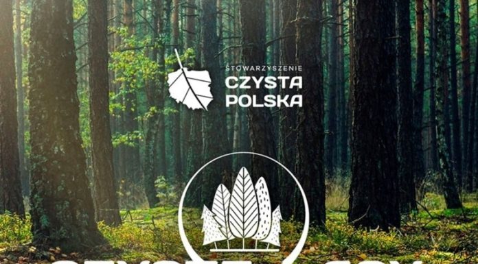 Czyste Lasy: uwalniamy Puszczę Niepołomicką… od śmieci!