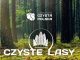 Czyste Lasy: uwalniamy Puszczę Niepołomicką… od śmieci!