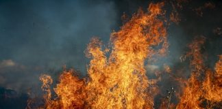 Niepołomice. 14-letni podpalacz w rękach policjantów