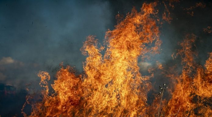 Niepołomice. 14-letni podpalacz w rękach policjantów